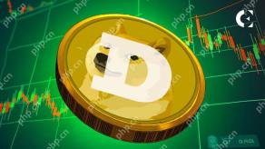 Polymarket对Dogecoin的预测明天即将结束0.24美元，只有13％的人认为这将发生。