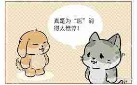医保断缴三个月年限会清零吗