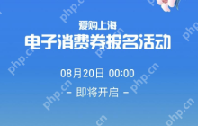 支付宝爱购上海电子消费券怎么领取