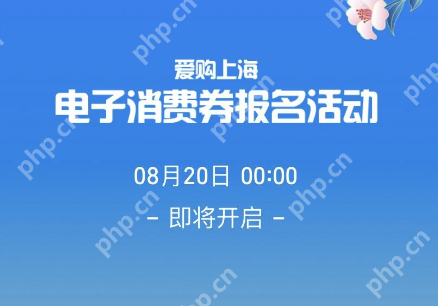 支付宝爱购上海电子消费券怎么领取