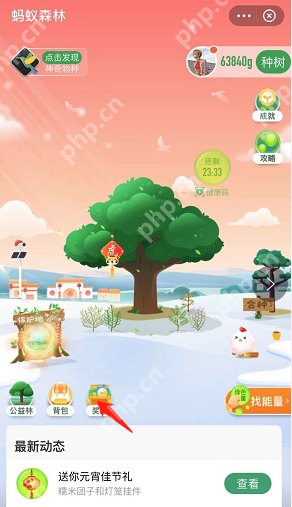 蚂蚁森林元宵花灯挂件怎么领取