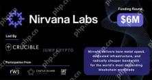 喜讯Nirvana获600万美元种子轮融资！旨在解决Web3高度中心化的云端运算问题