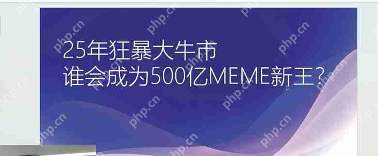 谁会成为25年狂暴大牛市500亿meme之王？一文介绍