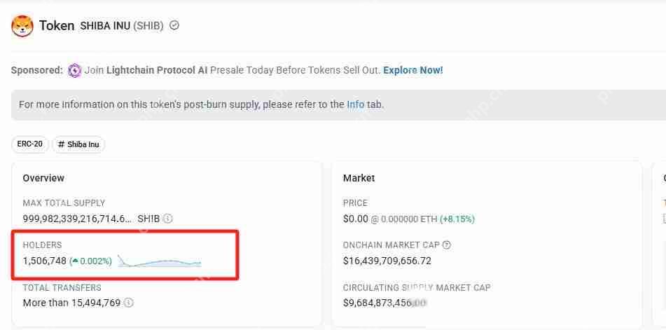 谁会成为25年狂暴大牛市500亿meme之王？一文介绍