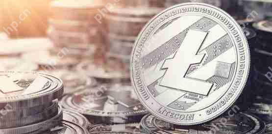 一文了解加密货币etf将迎爆发潮？分析师预估sec核准莱特币现货etf机率高达90%