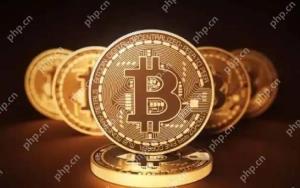 比特币多少倍杠杆会爆仓吗?如何选择比特币杠杆?
