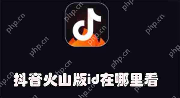 抖音火山版id在哪里看