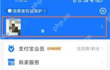 支付宝收藏图片在哪看