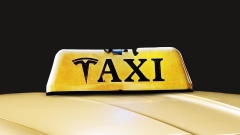 Elon Musk? Tesla Robotaxi ???? ???? ????.