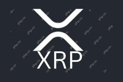 芝加哥商业交易所（CME）集团于2025年5月19日星期一启动XRP期货合约