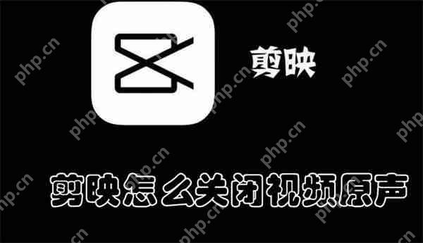 剪映怎么关闭视频原声