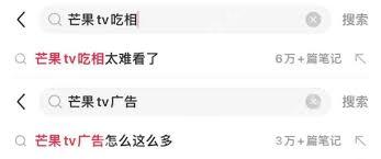 芒果tv v9要花多少钱