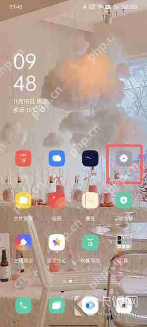oppo安装软件需要账号密码怎么取消