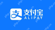 支付宝医保个人账户余额怎么查询