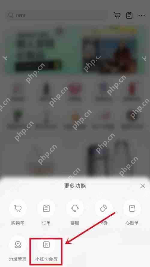 小红书怎么开通会员?小红书开通会员方法