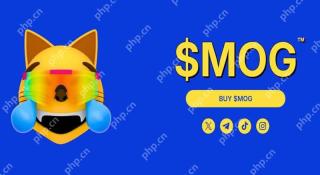 MOG币是什么？Mog Coin价格、未来预测及买币教学