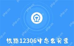 铁路12306中怎么买票