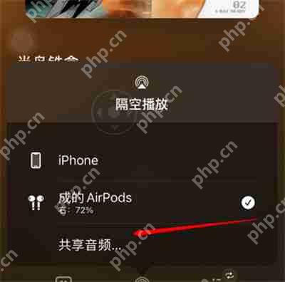 苹果怎么共享音频