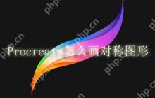 Procreate怎么画对称图形
