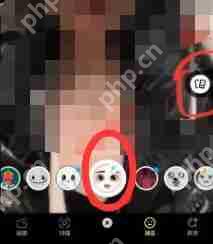 snapchat怎么导入图片加特效?snapchat导入图片加特效方法