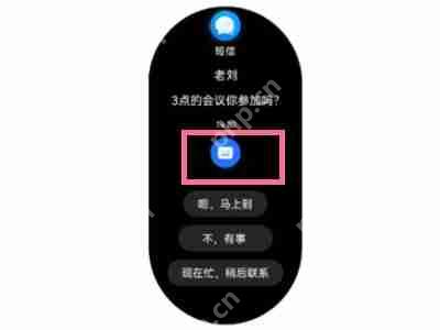 华为gt3pro短信怎么回复