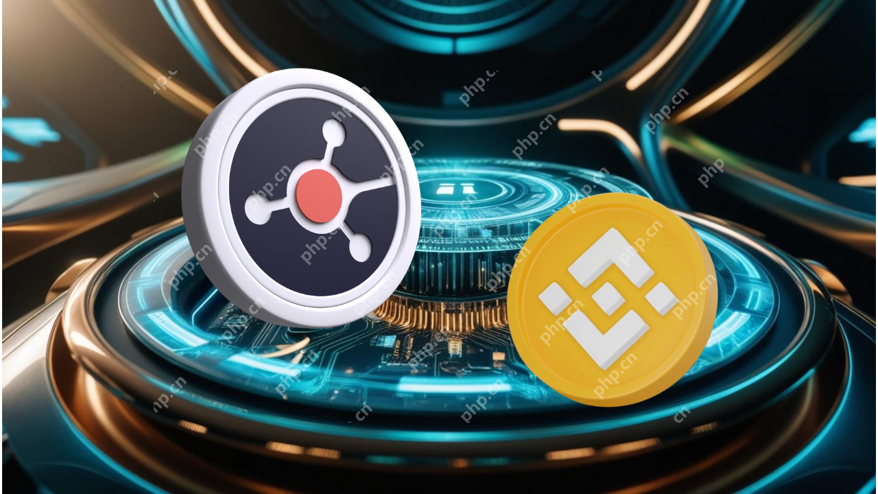 Ruvi（RVN）Presale 2阶段是现场直播的，为投资者提供了高讲演的契机