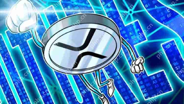 XRP期货是什么?XRP期货一张是些许?XRP期货一张价钱表