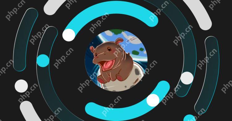 Moo Deng会成为下一个100倍Solana Meme币吗？Moo Deng2025年最新价格预测