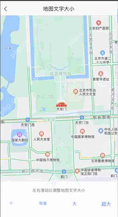 高德地图怎么设置字体大小