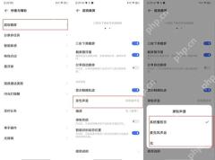 vivo手机录屏怎么录声音