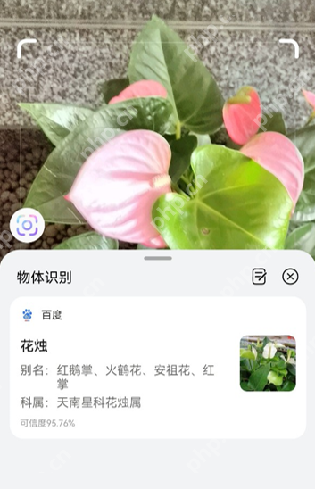 华为手机相机识物功能怎么用