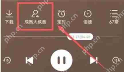 番茄畅听怎么切换声音-番茄畅听切换声音的方法