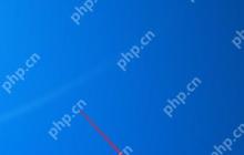 局域网动态IP地址分配使用指南