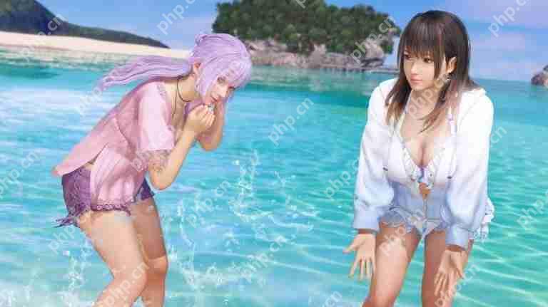《维纳斯璀璨假期 死或生Xtreme》主创称续作需观望