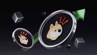 BONK币怎么样？BONK是一个好的投资选择吗？