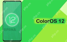 COlorOS12什么时候出