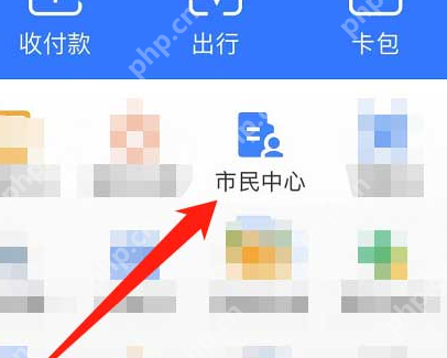 支付宝返乡报备怎么弄