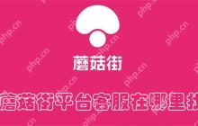 蘑菇街平台客服在哪里找