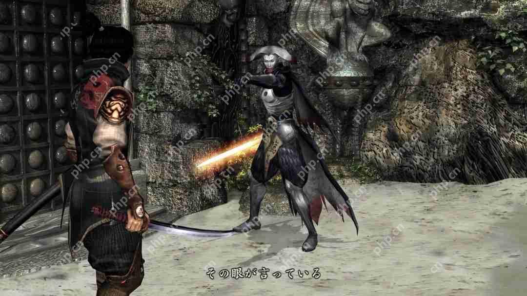 《鬼武者2复刻版》新视频 柳生十兵卫和傲刚达泰斯