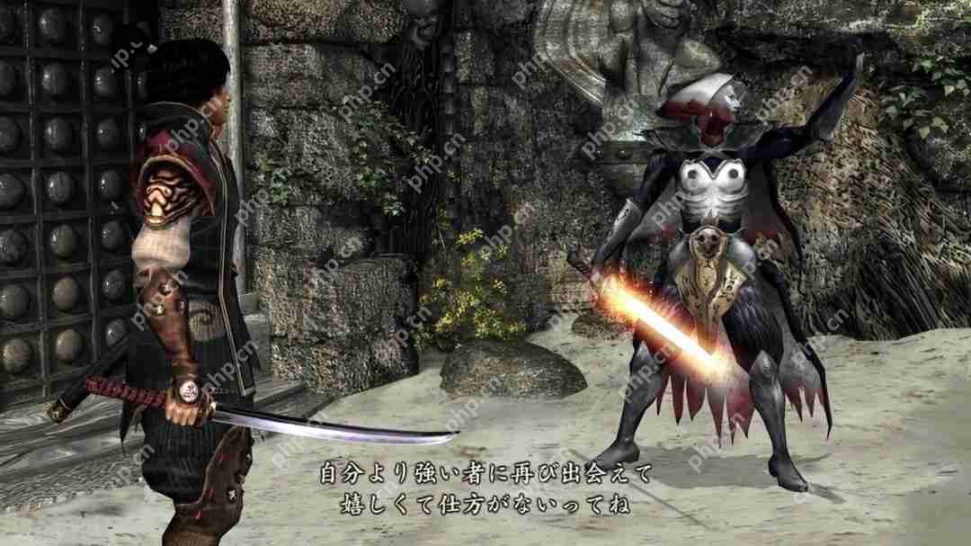《鬼武者2复刻版》新视频 柳生十兵卫和傲刚达泰斯