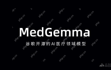MedGemma— 谷歌开源的AI医疗领域模型
