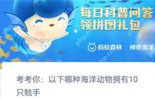 支付宝以下哪种海洋动物拥有十只触手