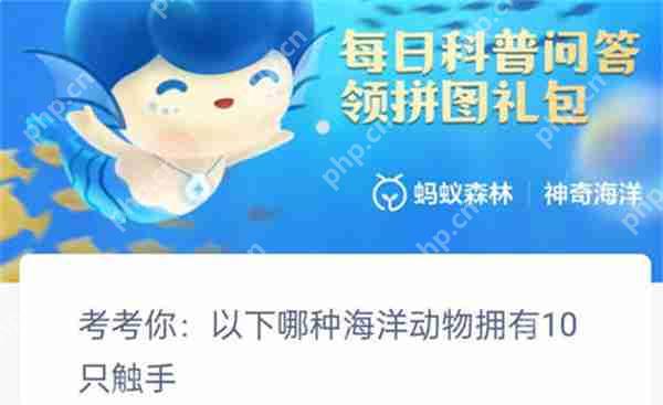 支付宝以下哪种海洋动物拥有十只触手
