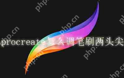 procreate怎么调笔刷两头尖