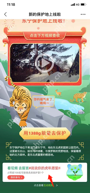 蚂蚁森林虎虎保护罩怎么获得