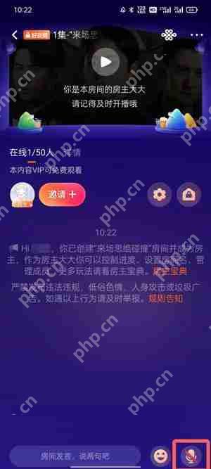 腾讯视频一起看可以连麦吗