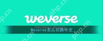 weverse怎么设置中文