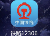 铁路12306怎么查询列车运行情况