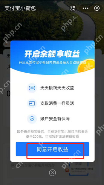 支付宝小荷包余额享收益功能怎么开启