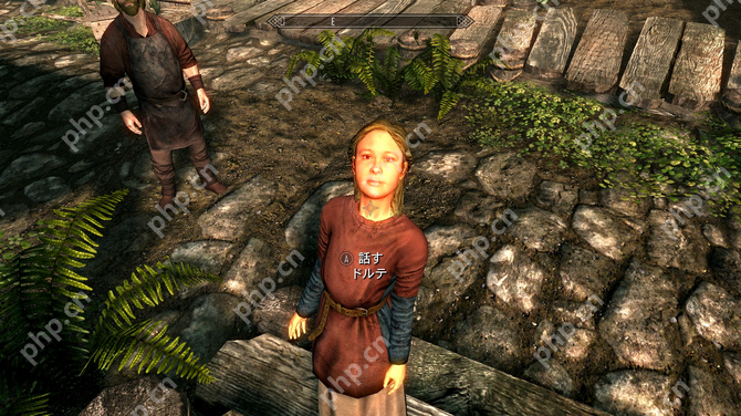 《上古5》玩家屠村后良心发现 询问如何孤儿找到新父母